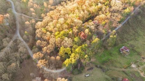 143 Kaely Drive Mineral Bluff GA 30559