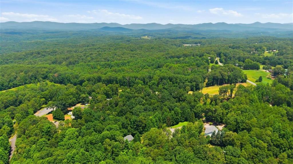 61 Majestic Oak Drive Dahlonega GA 30533