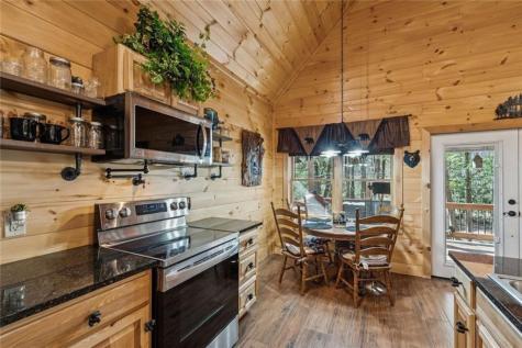 491 Old Parker Terrace Ellijay GA 30536