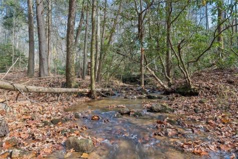 491 Old Parker Terrace Ellijay GA 30536
