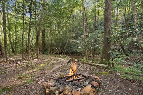 491 Old Parker Terrace Ellijay GA 30536