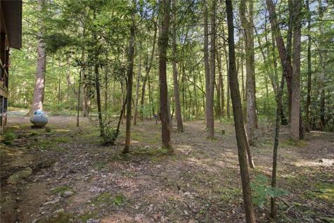 491 Old Parker Terrace Ellijay GA 30536