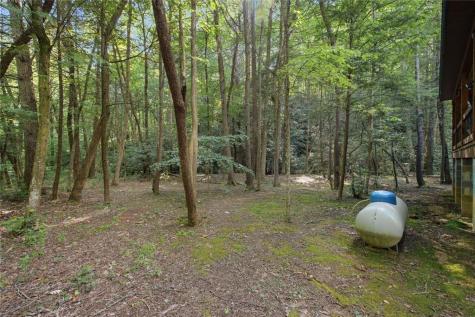 491 Old Parker Terrace Ellijay GA 30536