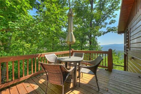 783 N Moreland Drive Cherry Log GA 30522