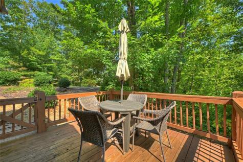 783 N Moreland Drive Cherry Log GA 30522