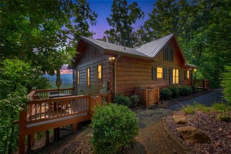 783 N Moreland Drive Cherry Log GA 30522