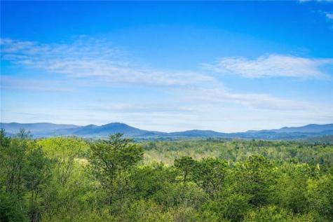259 Red Bush School Road Blue Ridge GA 30513