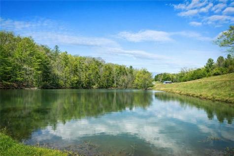 259 Red Bush School Road Blue Ridge GA 30513