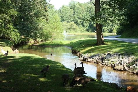 216 Dawn Lane Ellijay GA 30540