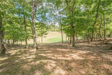 141 Red Cloud Drive Waleska GA 30183
