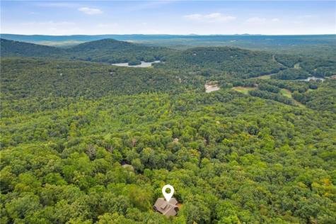 337 Disharoon Drive Big Canoe GA 30143