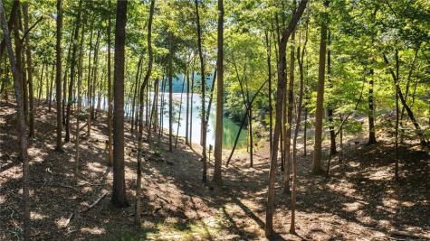 33 Kingfisher Point Big Canoe GA 30143