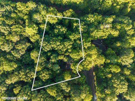 152 Cherry Court Ellijay GA 30540