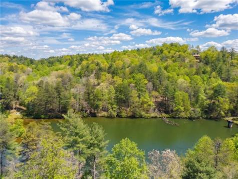 245 Bear Paw Trail Blue Ridge GA 30513