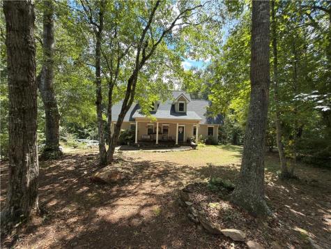399 Grindstone Creek Drive Clarkesville GA 30523