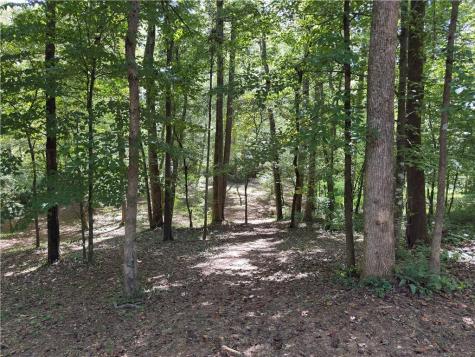 399 Grindstone Creek Drive Clarkesville GA 30523