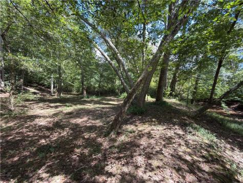 399 Grindstone Creek Drive Clarkesville GA 30523