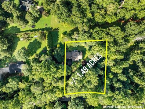 641 Martins Grove Road Dahlonega GA 30533