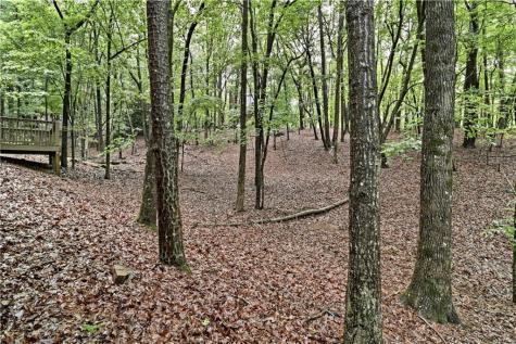 104 Soaring Hawk Circle Jasper GA 30143