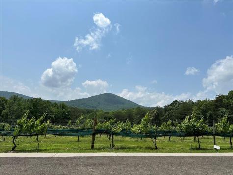 110 Rathgeb Trail Jasper GA 30143