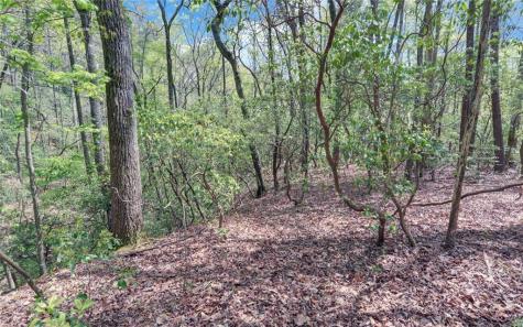 761 Clayton Gooch Road Dahlonega GA 30533