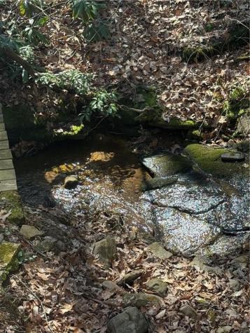 761 Clayton Gooch Road Dahlonega GA 30533