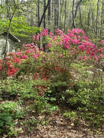 761 Clayton Gooch Road Dahlonega GA 30533