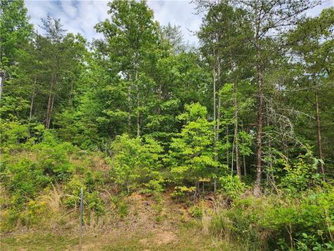 121 Rebecca Court Dahlonega GA 30533