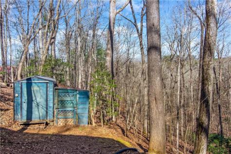 102 Mizzen Court Ellijay GA 30540