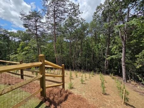 129 Morse Elm Loop Waleska GA 30183