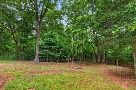 648 Stuart Mountain Road Mineral Bluff GA 30559