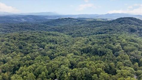 648 Stuart Mountain Road Mineral Bluff GA 30559