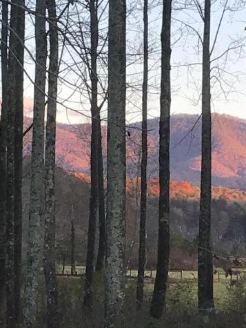 3349 Whitepath Road Ellijay GA 30540