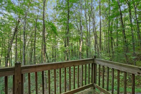1274 Little Rock Creek Road Cherry Log GA 30522