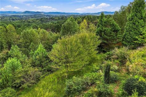 100 Foxpaw Leaf Court Ellijay GA 30536