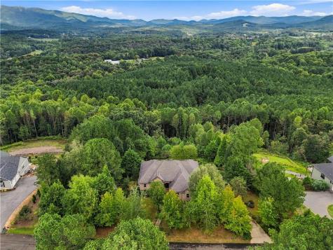 100 Foxpaw Leaf Court Ellijay GA 30536