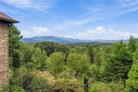 100 Foxpaw Leaf Court Ellijay GA 30536