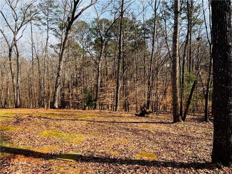 135 Adina Drive Ellijay GA 30540