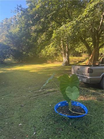 2005 Seven Mile Hill Road Dahlonega GA 30533