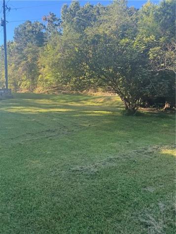 2005 Seven Mile Hill Road Dahlonega GA 30533