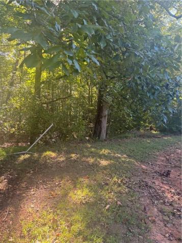 2005 Seven Mile Hill Road Dahlonega GA 30533