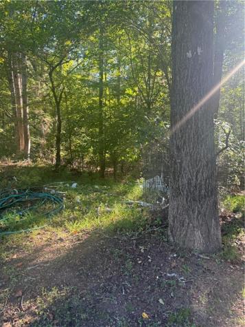 2005 Seven Mile Hill Road Dahlonega GA 30533