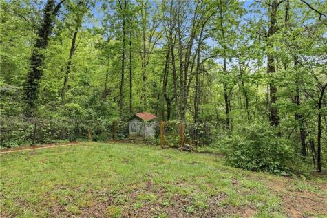 10 Florida Avenue Clayton GA 30525