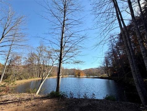 130 Cove View Lane Clarkesville GA 30523