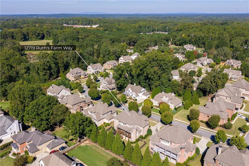12719 Ruths Farm Way Alpharetta GA 30004