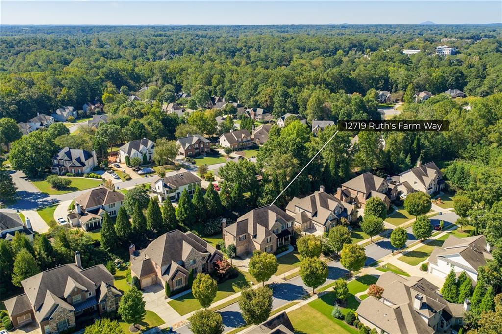 12719 Ruths Farm Way Alpharetta GA 30004