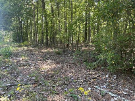 60 Oasis Drive Blue Ridge GA 30513