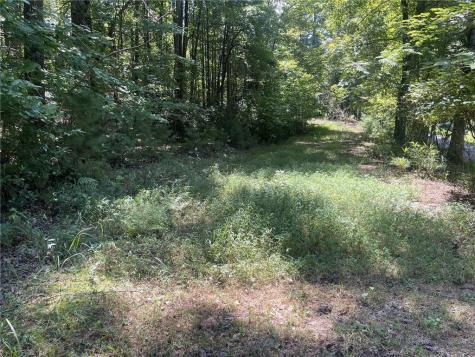 60 Oasis Drive Blue Ridge GA 30513