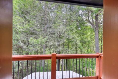 450 Flat Creek Circle Blue Ridge GA 30513