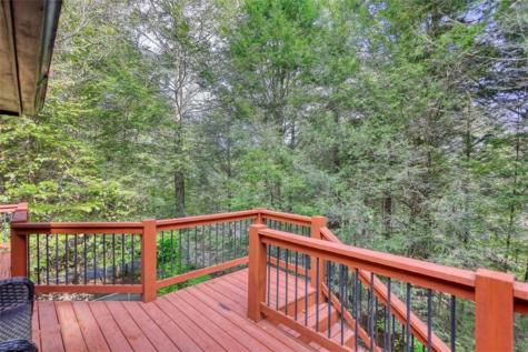 450 Flat Creek Circle Blue Ridge GA 30513